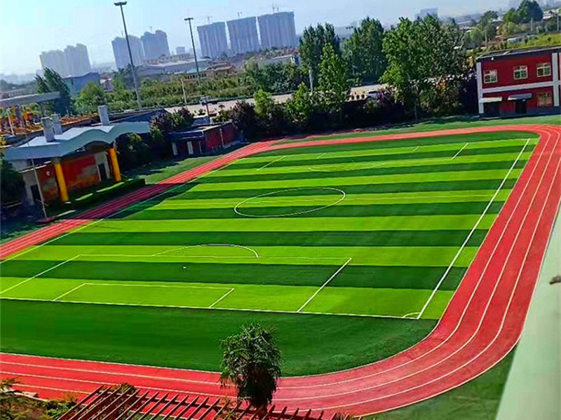 栾城草坪基地：打造绿色生态新篇章
